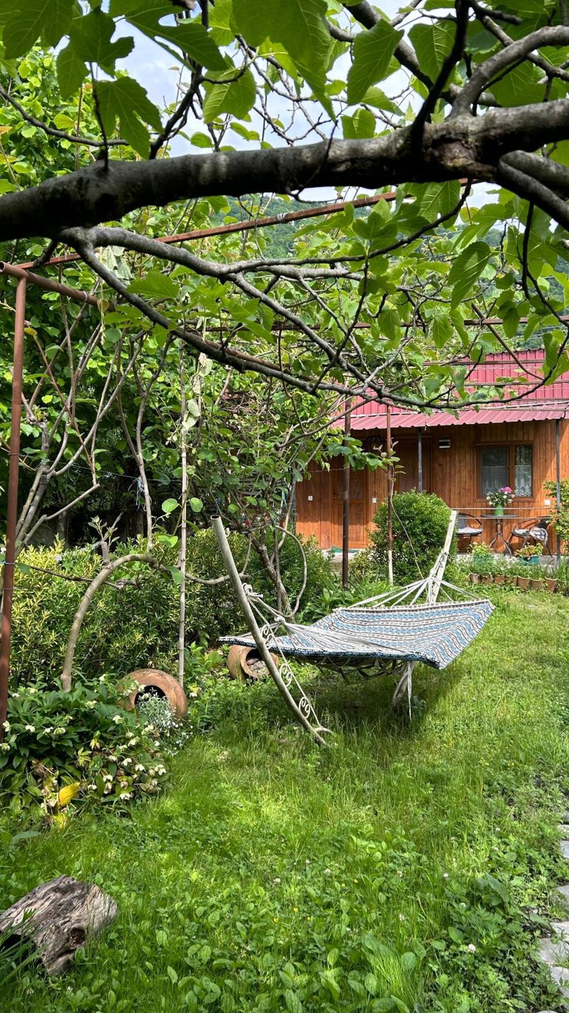 Ludwig Guesthouse Лаґодехі Екстер'єр фото