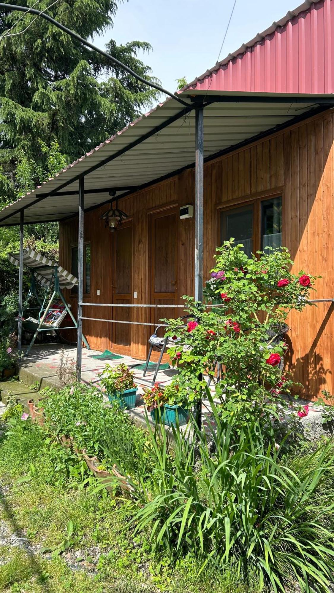 Ludwig Guesthouse Лаґодехі Екстер'єр фото