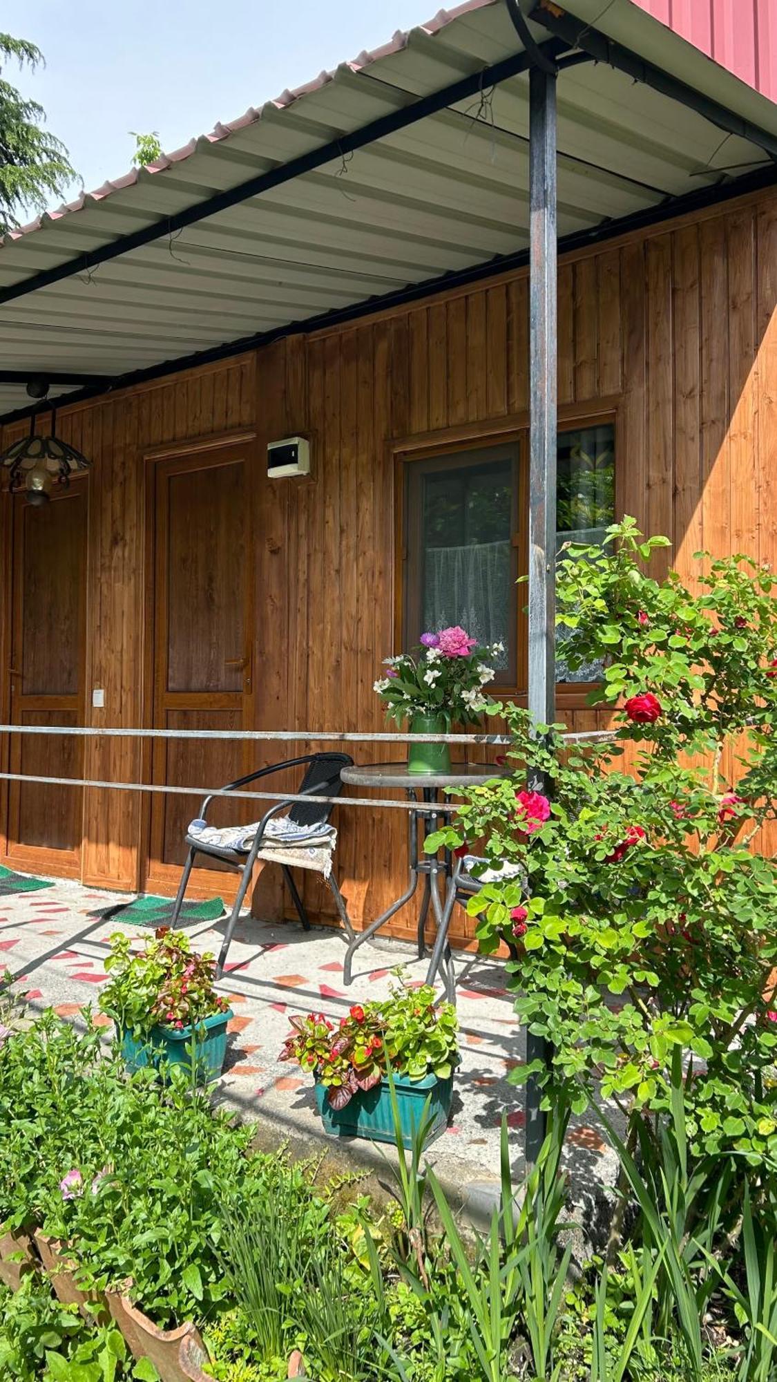 Ludwig Guesthouse Лаґодехі Екстер'єр фото