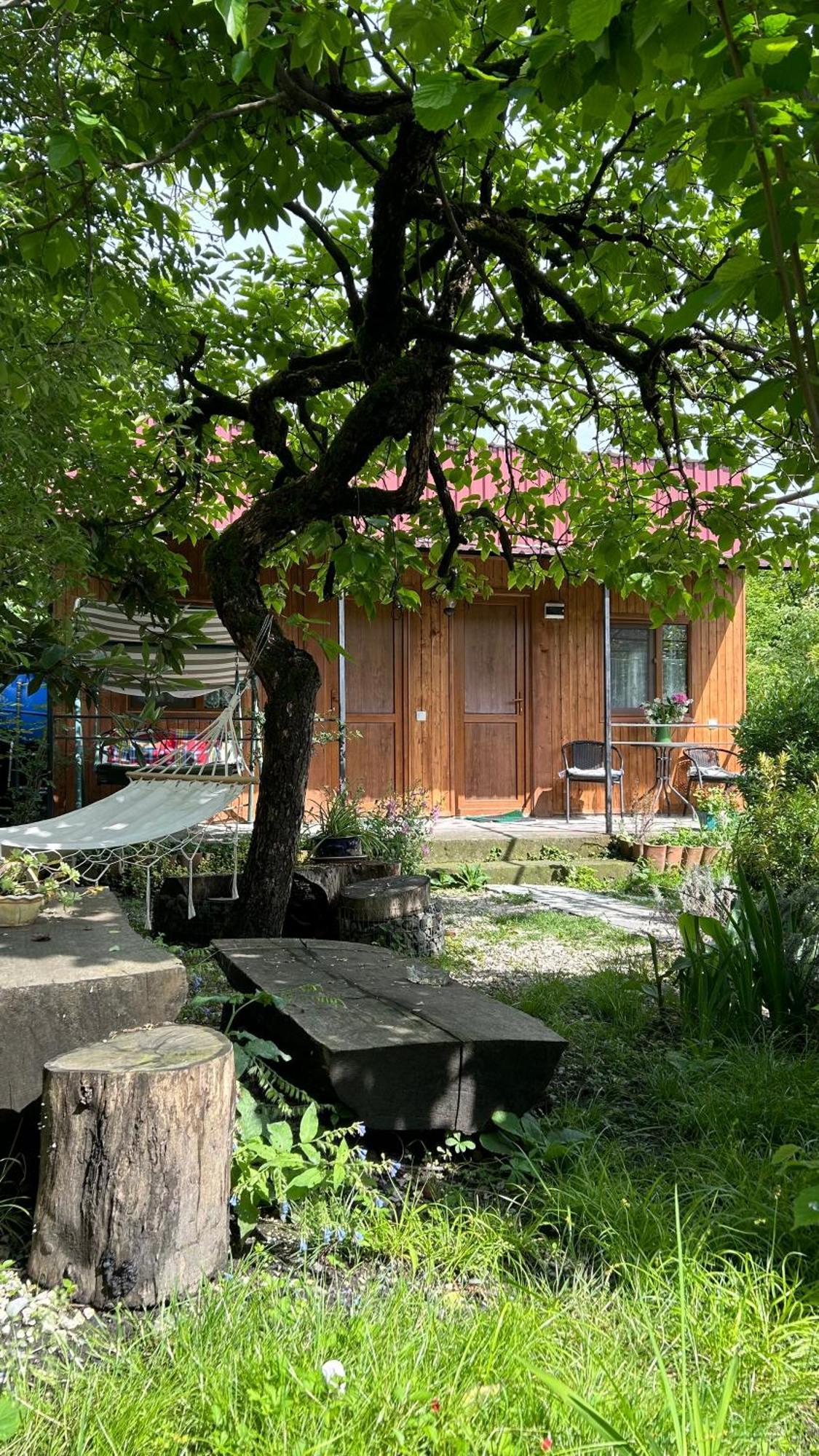 Ludwig Guesthouse Лаґодехі Екстер'єр фото